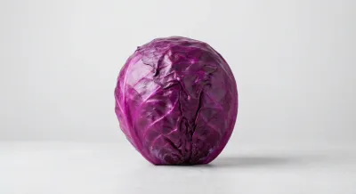 Chou rouge entier sur fond neutre pour tutoriel de congélation.