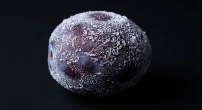 Gros plan iconique d'une prune congelée avec cristaux de glace